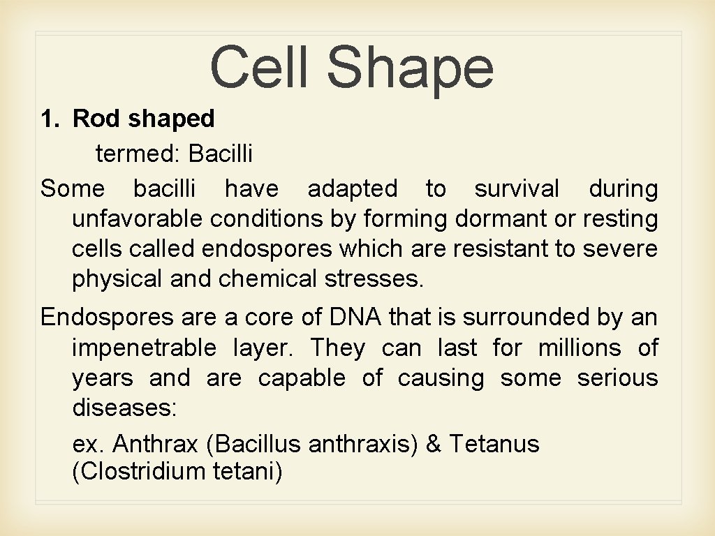 Cell Shape 1. Rod shaped termed: Bacilli Some bacilli have adapted to survival during