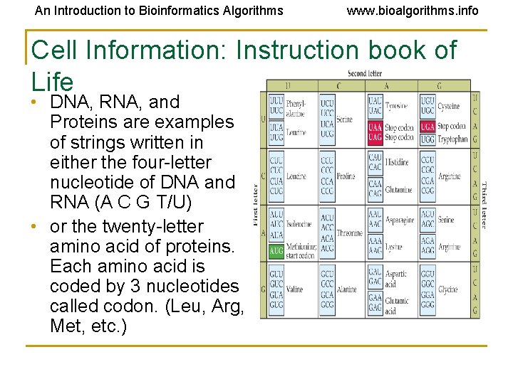 An Introduction to Bioinformatics Algorithms www. bioalgorithms. info Cell Information: Instruction book of Life An Introduction to Bioinformatics Algorithms www. bioalgorithms. info Cell Information: Instruction book of Life