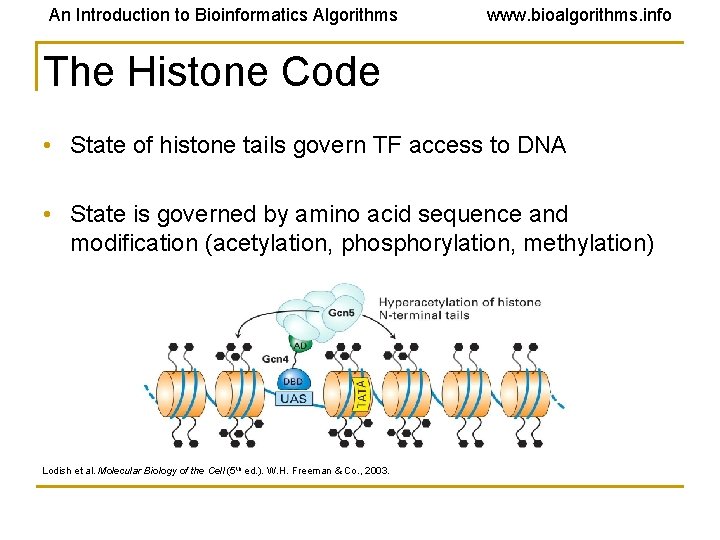 An Introduction to Bioinformatics Algorithms www. bioalgorithms. info The Histone Code • State of An Introduction to Bioinformatics Algorithms www. bioalgorithms. info The Histone Code • State of