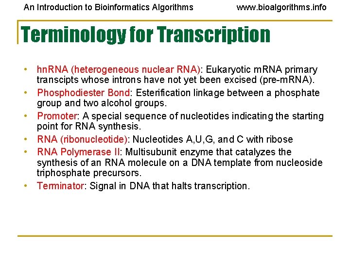 An Introduction to Bioinformatics Algorithms www. bioalgorithms. info Terminology for Transcription • hn. RNA An Introduction to Bioinformatics Algorithms www. bioalgorithms. info Terminology for Transcription • hn. RNA