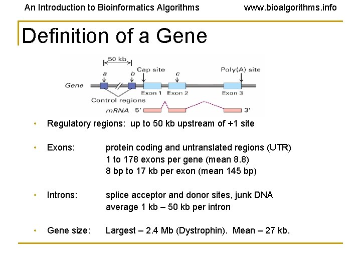 An Introduction to Bioinformatics Algorithms www. bioalgorithms. info Definition of a Gene • Regulatory An Introduction to Bioinformatics Algorithms www. bioalgorithms. info Definition of a Gene • Regulatory