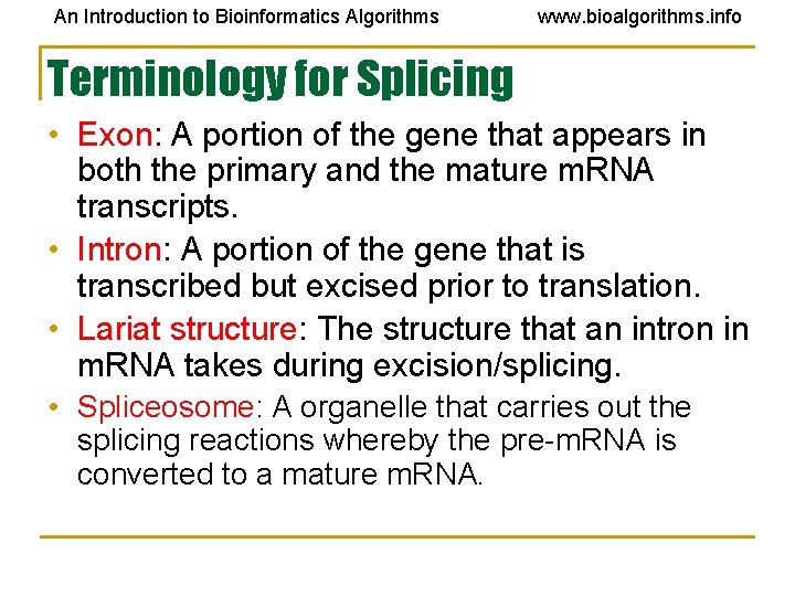 An Introduction to Bioinformatics Algorithms www. bioalgorithms. info Terminology for Splicing • Exon: A An Introduction to Bioinformatics Algorithms www. bioalgorithms. info Terminology for Splicing • Exon: A