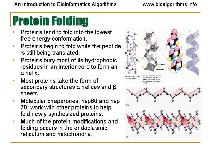 An Introduction to Bioinformatics Algorithms Protein Folding • Proteins tend to fold into the An Introduction to Bioinformatics Algorithms Protein Folding • Proteins tend to fold into the
