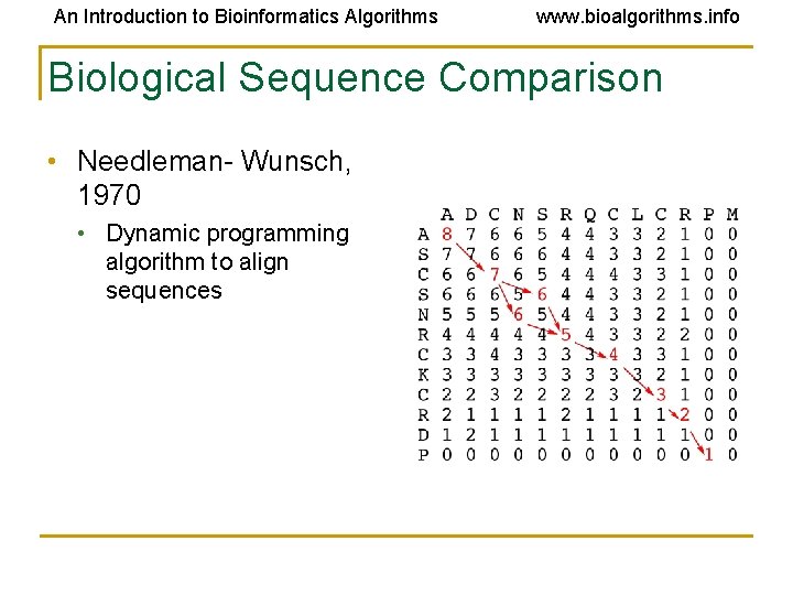 An Introduction to Bioinformatics Algorithms www. bioalgorithms. info Biological Sequence Comparison • Needleman- Wunsch, An Introduction to Bioinformatics Algorithms www. bioalgorithms. info Biological Sequence Comparison • Needleman- Wunsch,
