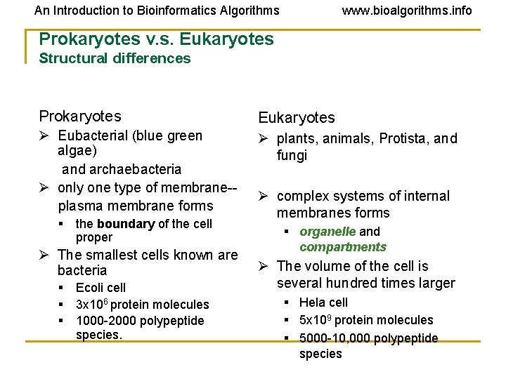 An Introduction to Bioinformatics Algorithms www. bioalgorithms. info Prokaryotes v. s. Eukaryotes Structural differences An Introduction to Bioinformatics Algorithms www. bioalgorithms. info Prokaryotes v. s. Eukaryotes Structural differences