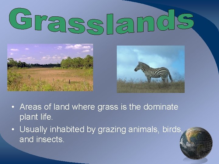  • Areas of land where grass is the dominate plant life. • Usually