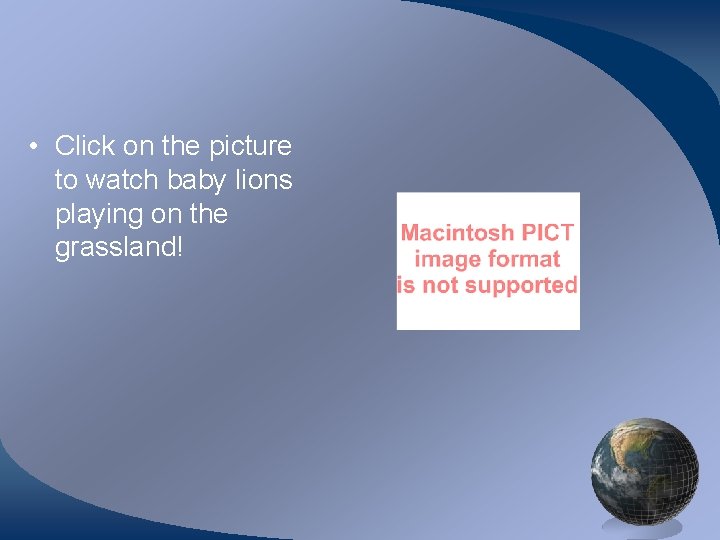  • Click on the picture to watch baby lions playing on the grassland!