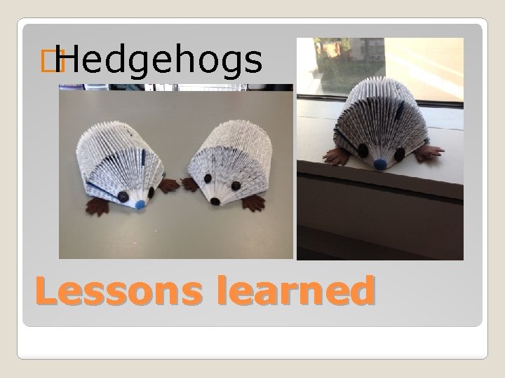 � Hedgehogs Lessons learned 