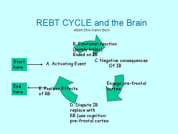 REBT CYCLE and the Brain Albert Ellis/ Aaron Beck Start here End here B.