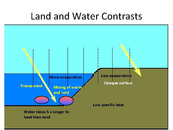 Land Water Contrasts More evaporation Transparent Mixing of warm and cold Less evaporation Opaque