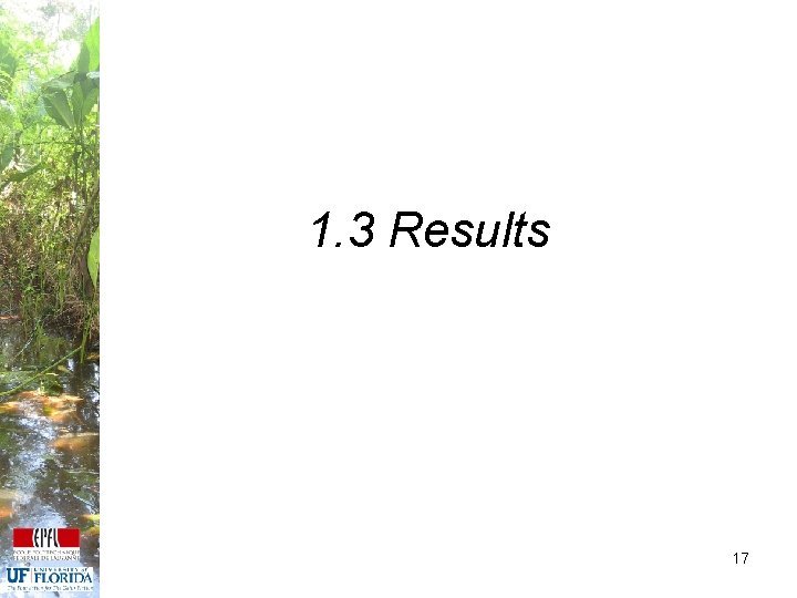 1. 3 Results 17 