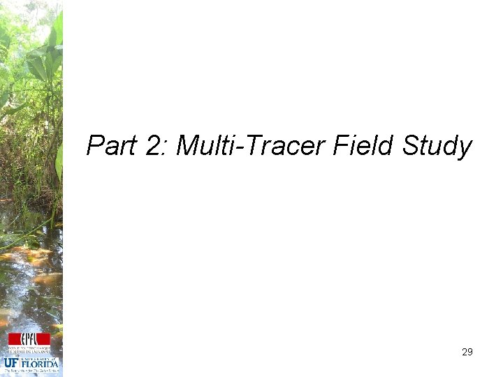 Part 2: Multi-Tracer Field Study 29 