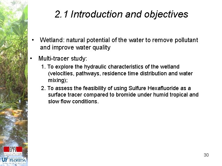 2. 1 Introduction and objectives • Wetland: natural potential of the water to remove