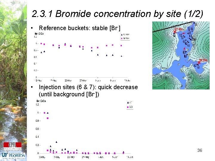 2. 3. 1 Bromide concentration by site (1/2) • Reference buckets: stable [Br-] •