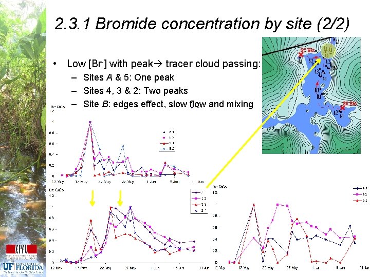 2. 3. 1 Bromide concentration by site (2/2) • Low [Br-] with peak tracer