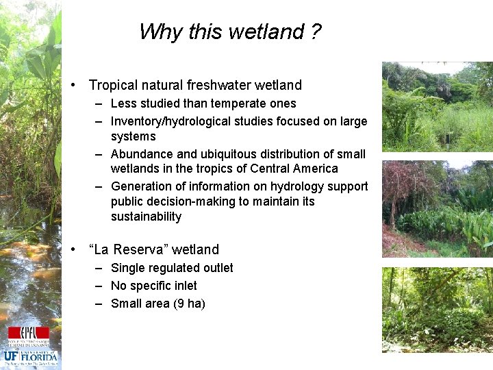 Why this wetland ? • Tropical natural freshwater wetland – Less studied than temperate