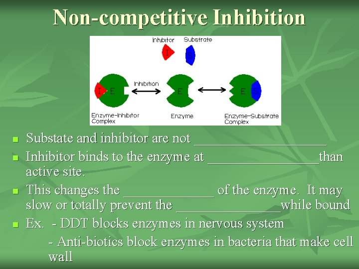 Non-competitive Inhibition n n Substate and inhibitor are not __________ Inhibitor binds to the