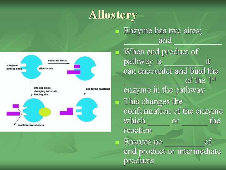 Allostery n n Enzyme has two sites; ____and ______ When end product of pathway