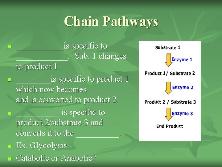 Chain Pathways n n n ______is specific to ______. Sub. 1 changes to product