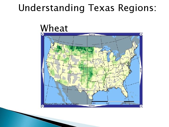 Understanding Texas Regions: Wheat 