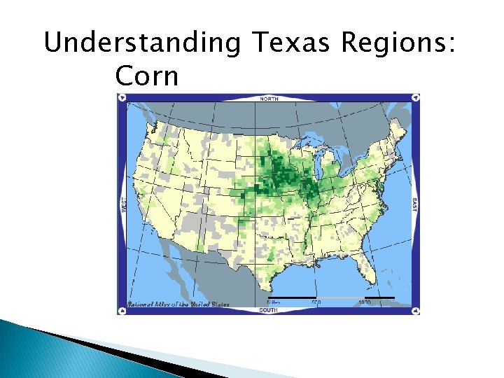 Understanding Texas Regions: Corn 