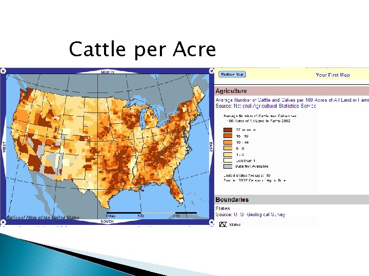 Cattle per Acre 