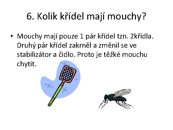 6. Kolik křídel mají mouchy? • Mouchy mají pouze 1 pár křídel tzn. 2