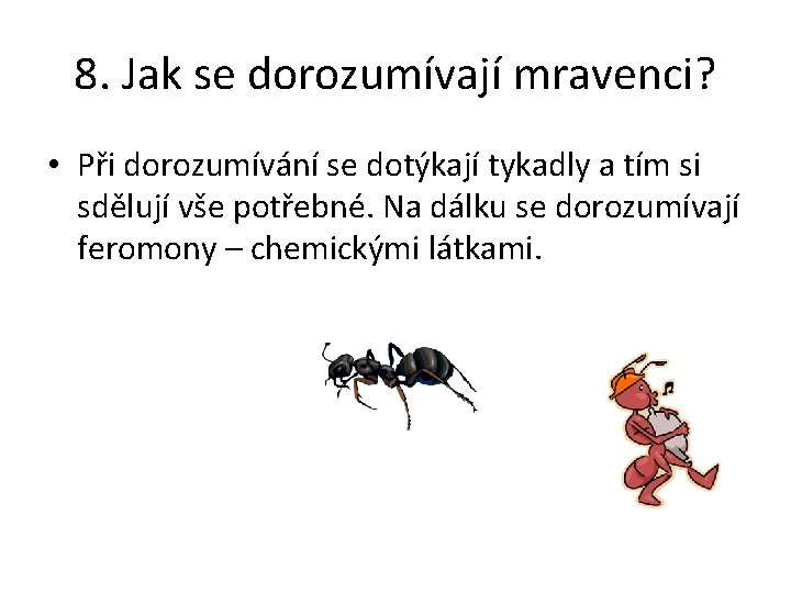 8. Jak se dorozumívají mravenci? • Při dorozumívání se dotýkají tykadly a tím si