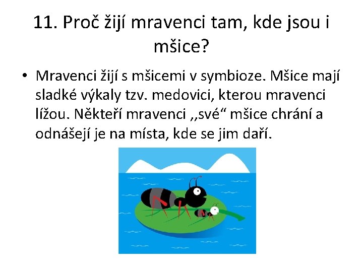 11. Proč žijí mravenci tam, kde jsou i mšice? • Mravenci žijí s mšicemi