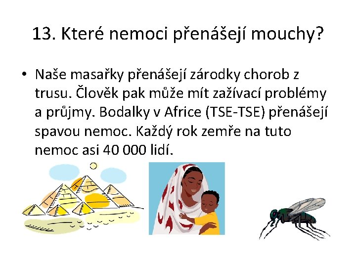 13. Které nemoci přenášejí mouchy? • Naše masařky přenášejí zárodky chorob z trusu. Člověk