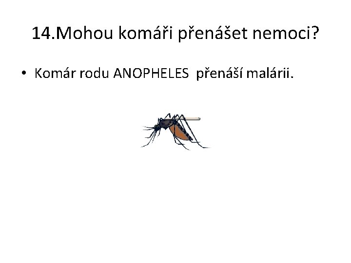 14. Mohou komáři přenášet nemoci? • Komár rodu ANOPHELES přenáší malárii. 