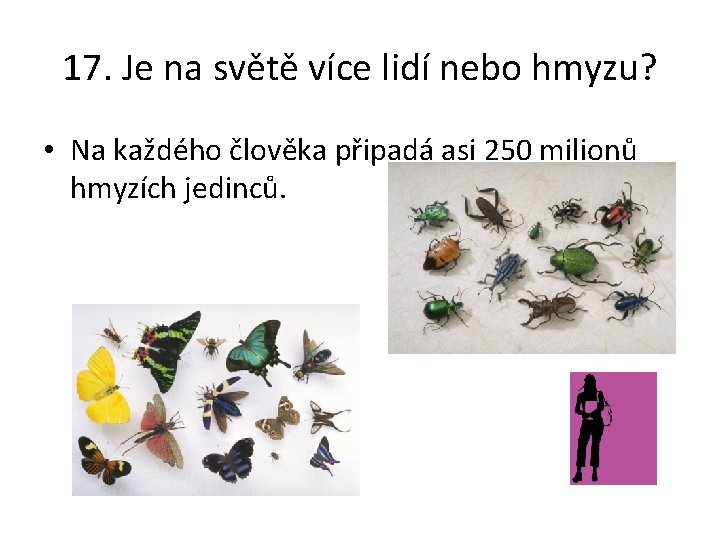 17. Je na světě více lidí nebo hmyzu? • Na každého člověka připadá asi