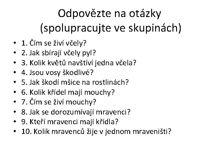 Odpovězte na otázky (spolupracujte ve skupinách) • • • 1. Čím se živí včely?