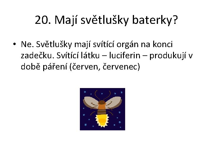 20. Mají světlušky baterky? • Ne. Světlušky mají svítící orgán na konci zadečku. Svítící