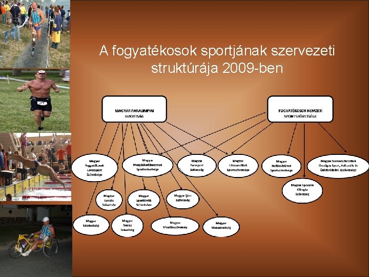 A fogyatékosok sportjának szervezeti struktúrája 2009 -ben 