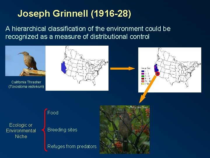 NICHE CONCEPTS Enrique Martnez Meyer Instituto de Biologa