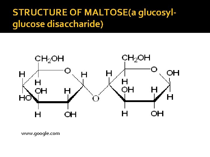 STRUCTURE OF MALTOSE(a glucosylglucose disaccharide) www. google. com 