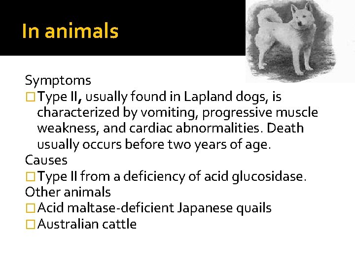 In animals Symptoms �Type II, usually found in Lapland dogs, is characterized by vomiting,
