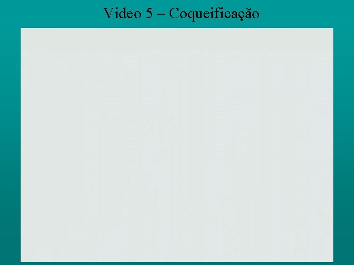 Video 5 – Coqueificação 