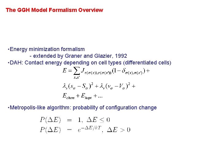 The GGH Model Formalism Overview • Energy minimization formalism - extended by Graner and