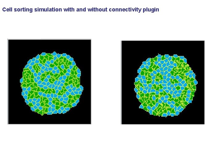 Cell sorting simulation with and without connectivity plugin 