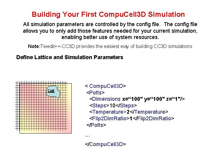 Building Your First Compu. Cell 3 D Simulation All simulation parameters are controlled by