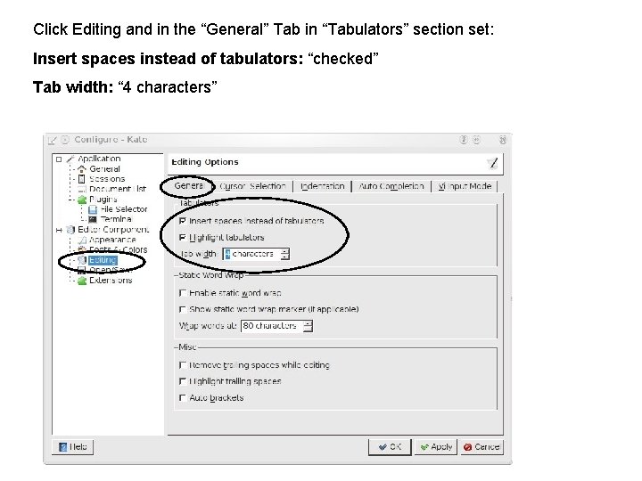 Click Editing and in the “General” Tab in “Tabulators” section set: Insert spaces instead