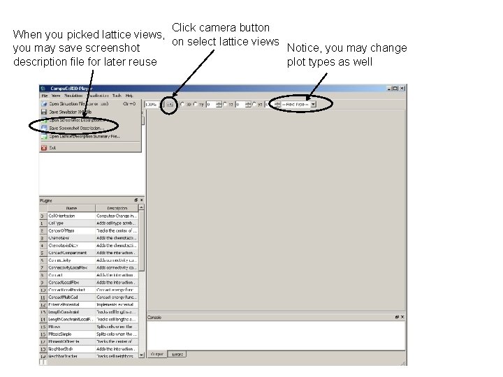 Click camera button When you picked lattice views, on select lattice views you may