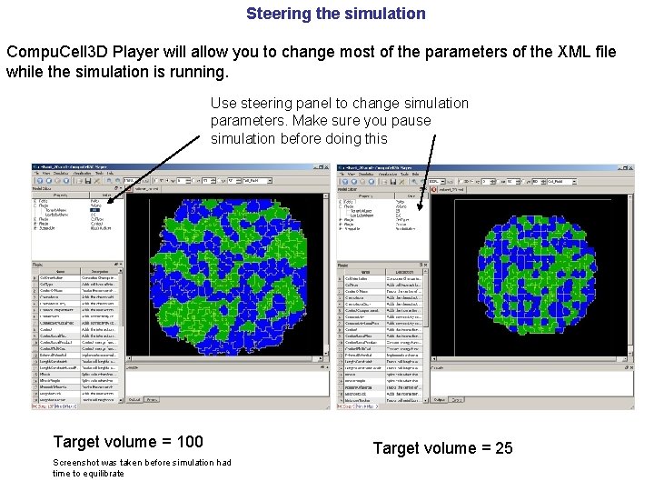 Steering the simulation Compu. Cell 3 D Player will allow you to change most