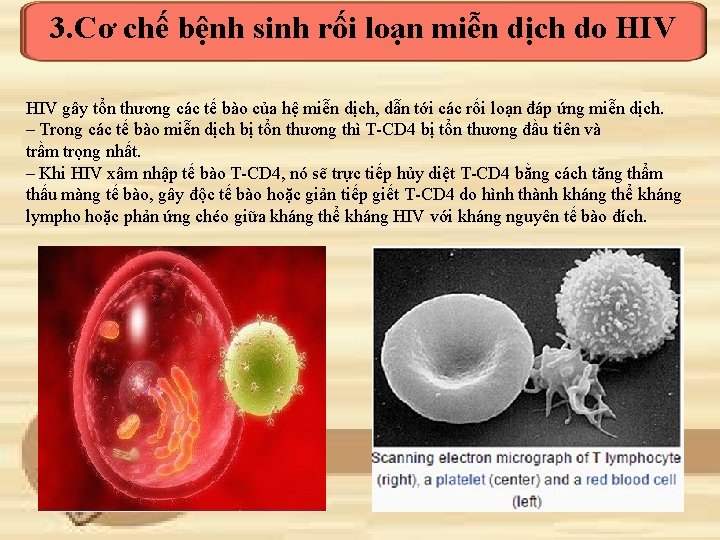 3. Cơ chế bệnh sinh rối loạn miễn dịch do HIV gây tổn thương
