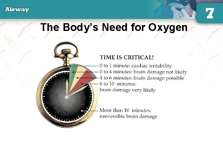 The Body’s Need for Oxygen 16 