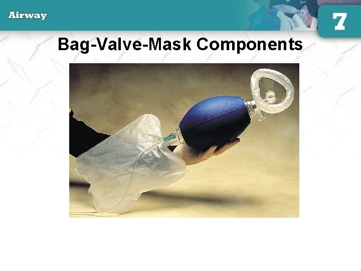 Bag-Valve-Mask Components 52 