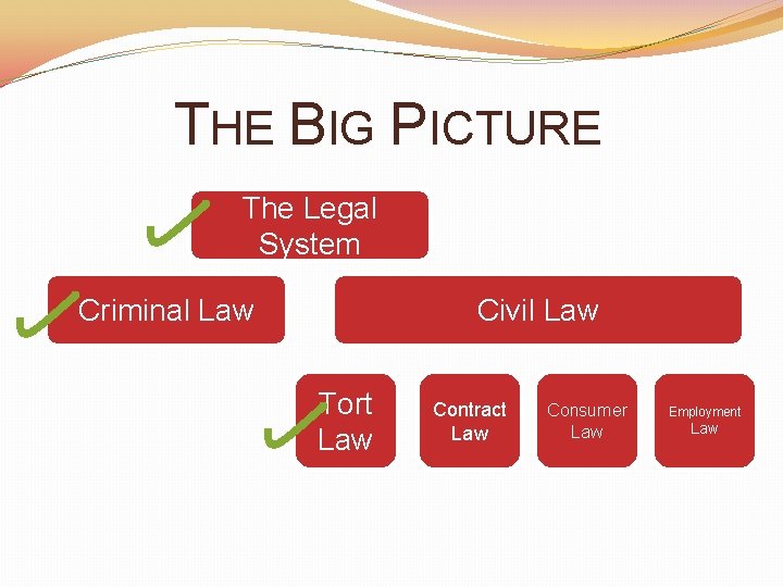 THE BIG PICTURE The Legal System Criminal Law Civil Law Tort Law Contract Law