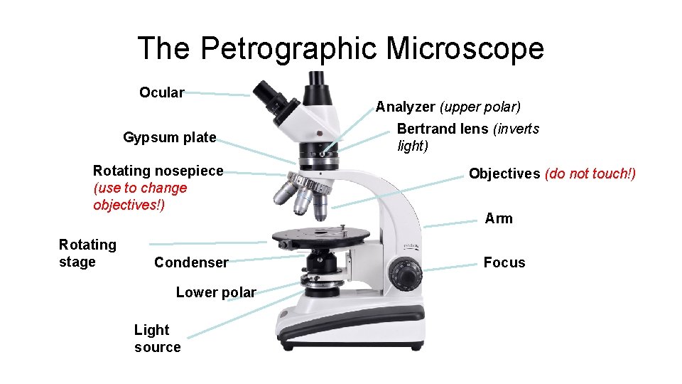 The Petrographic Microscope Ocular Gypsum plate Rotating nosepiece (use to change objectives!) Rotating stage